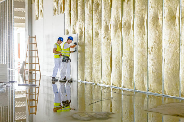 Types of Insulation We Offer in Herrin, IL